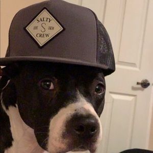 Meet your Posher, Andy